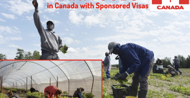 Farm Jobs in Canada with Sponsored Visas 2022 -2023
